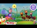 Musical Adventure African Jazz Classical And More Music For Kids Kids Songs BabyTV 