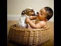 Jack Russell Dogs and Babies Friendship Video Compilation - Dog and Baby Videos