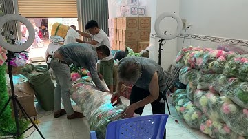 Cổng cưới cổng hoa cổng rạp Huy AB 0971711705