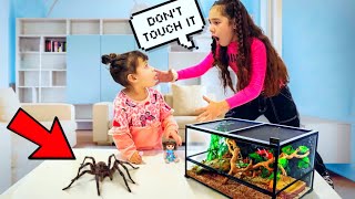 FOUND Our 2 Year Old PLAYING With a Huge TARANTULA!! | Jancy Family