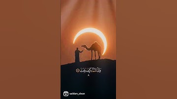 القارئ خالد الجليل ﴿أَفَلَا یَنظُرُونَ إِلَى ٱلۡإِبِلِ كَیۡفَ خُلِقَتۡ﴾ #حالات_واتس #quran #قرآن