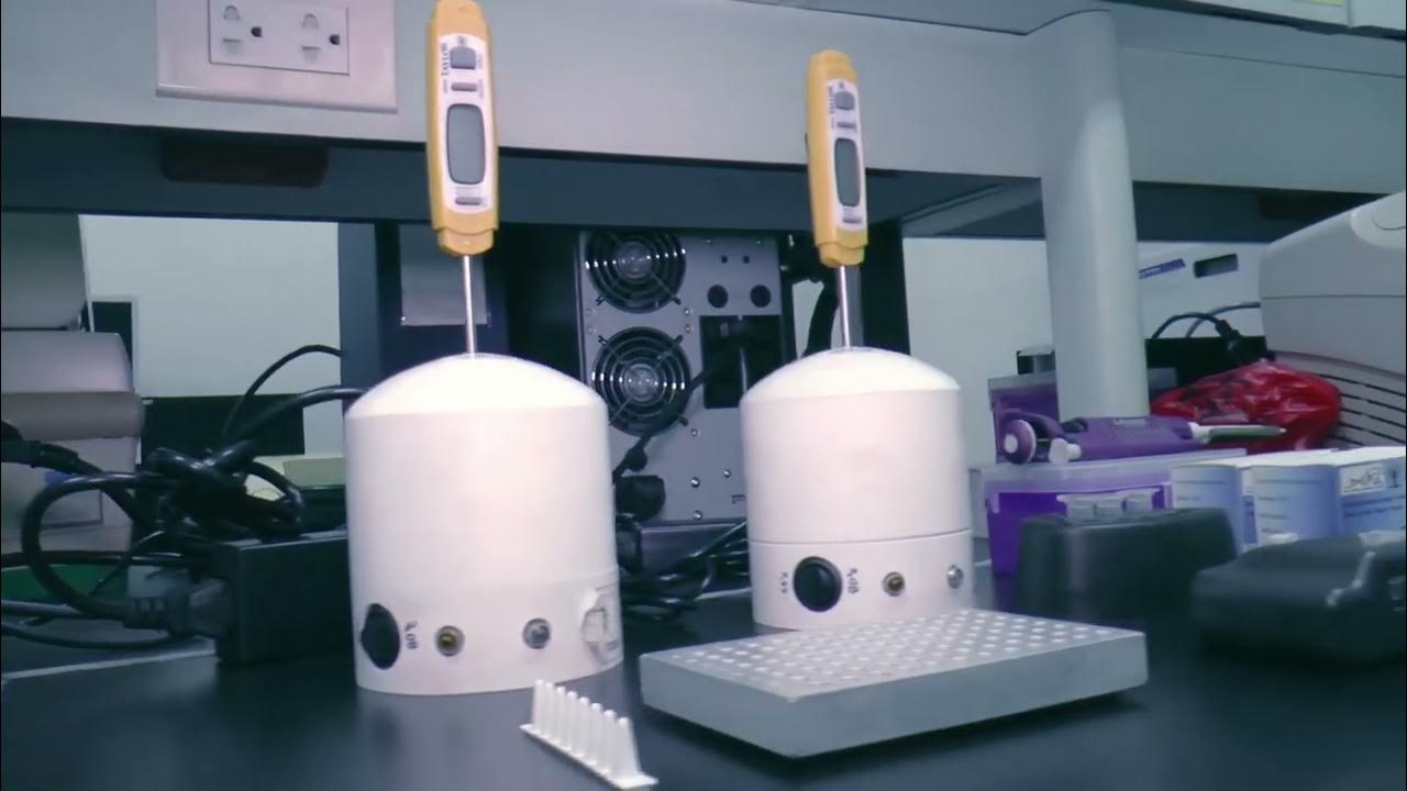 Biotek M Final - YouTube