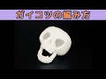 【かぎ針編み】ガイコツの編み方【あみぐるみ】