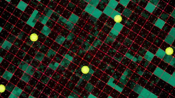 Motion grid