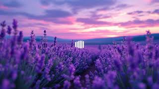 [Serenity Spa] String Ensemble & Piano for Sleep | 1 Hour