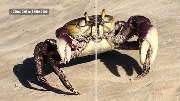 Topaz Video Starlight Sharp AI Model