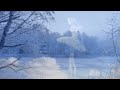 Волшебная музыка зимнего леса. Silent winter evening.