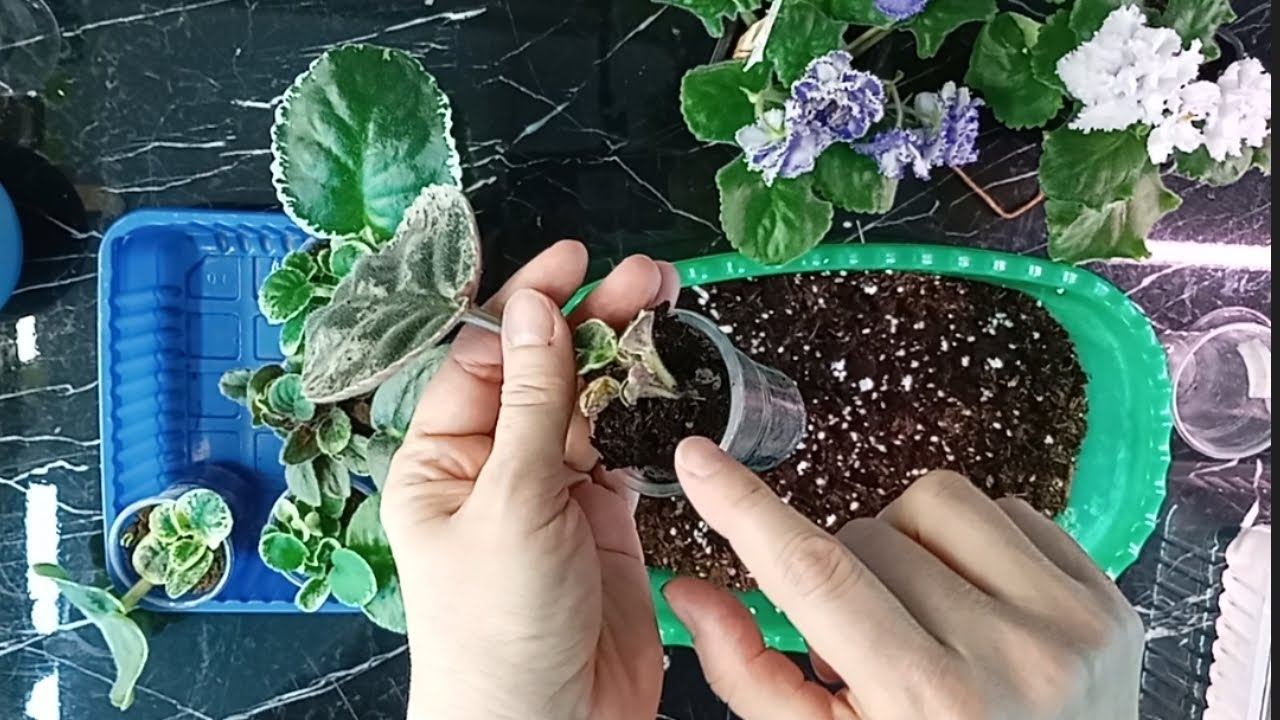 Помогаем детке выбраться из плена