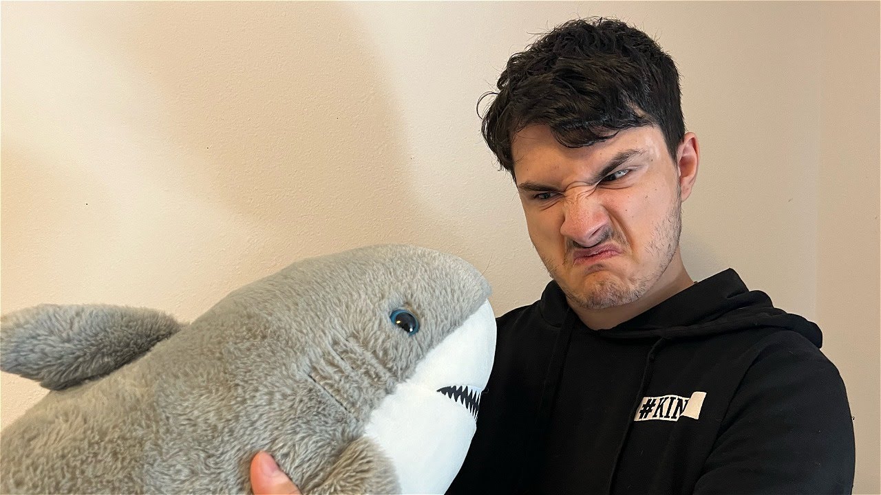 Did You F**k My Shark?