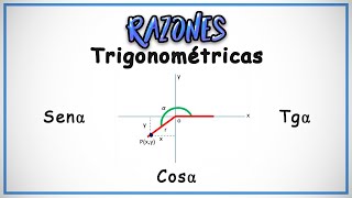 RAZONES TRIGONOMÉTRICAS Explicación Fácil