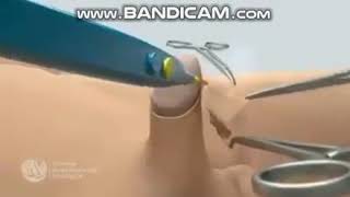 YouTube video Z5mInt8fQy0