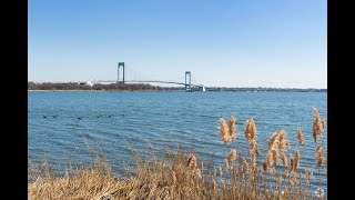 Living in Castle Hill, NY: The Ultimate Local Guide | Homes.com