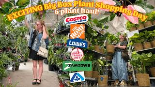 NEW $7.98 RARE Big Box Plant Shopping Finds😱 BEST DAY EVER 🤩 Costco, Home Depot, Lowes & MORE 😍🪴 @plantingashley