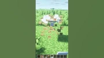 Wierd Item frame glitch in Minecraft #shorts #minecraft