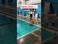 Beginner To Advanced Swim Dives 🏊‍♀️ 🏊‍♂️