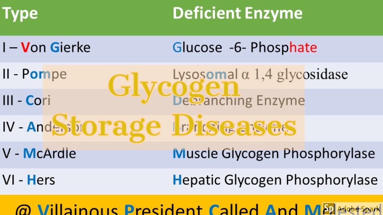 Glycogen Storage Diseases YouTube
