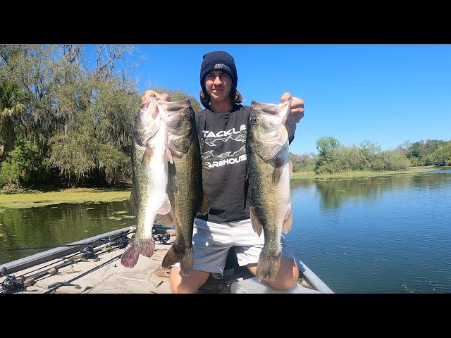 Florida Bass Fishing in a Small Neighborhood Pond 