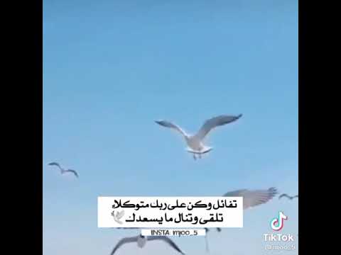 اياعالم الشكوى