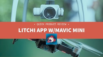 Litchi, the DJI Mavic Mini and Active Track - Quick Review