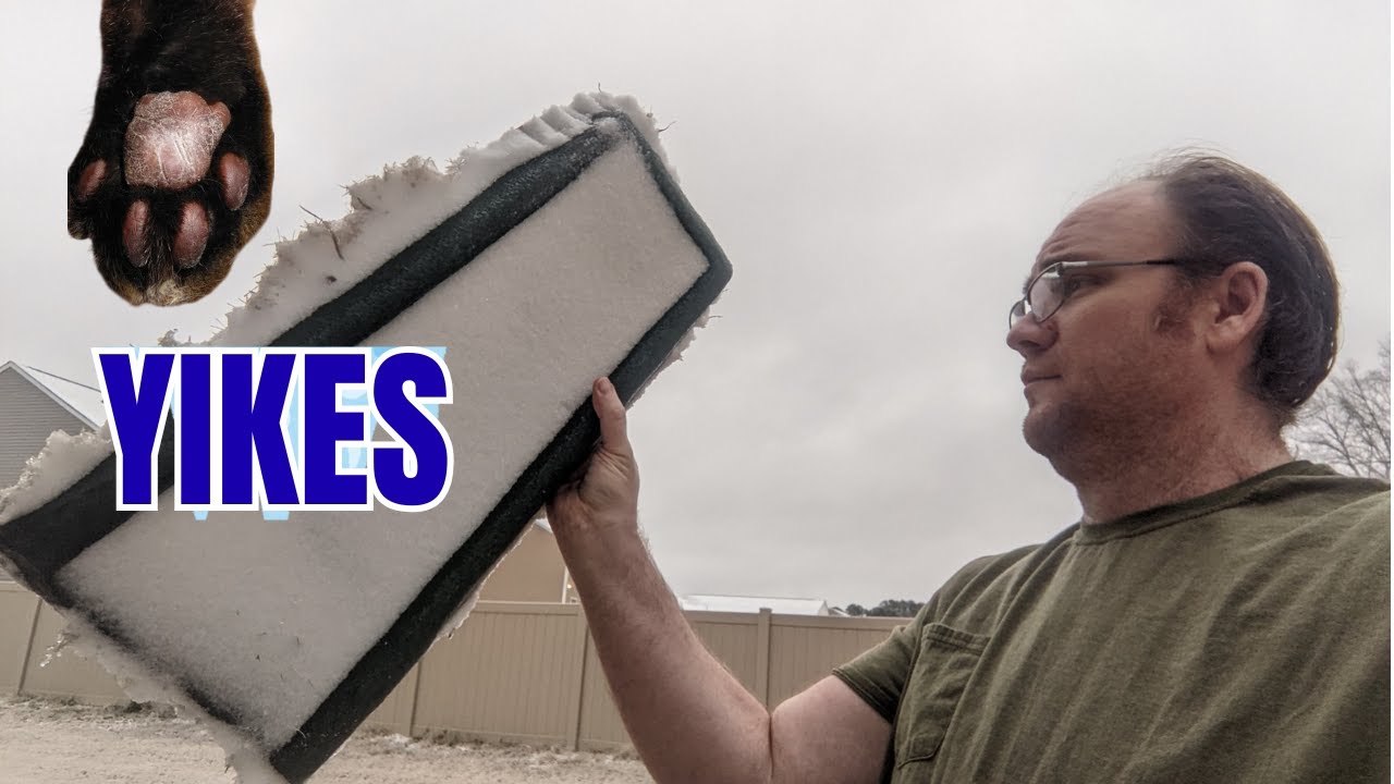 Cold weather tip every cat parent must know!