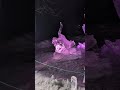 nature in Ice #ice #sculpture #winter #animal #animals #cute #winter #alaska #nature #naturelovers