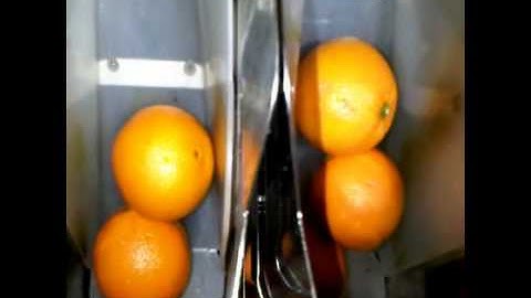 Γραμμές Συσκευασίας και Διαλογής  Πορτοκαλιών - Oranges Packing with NEWTEC 4014XB1+ 4015B2 Novatec