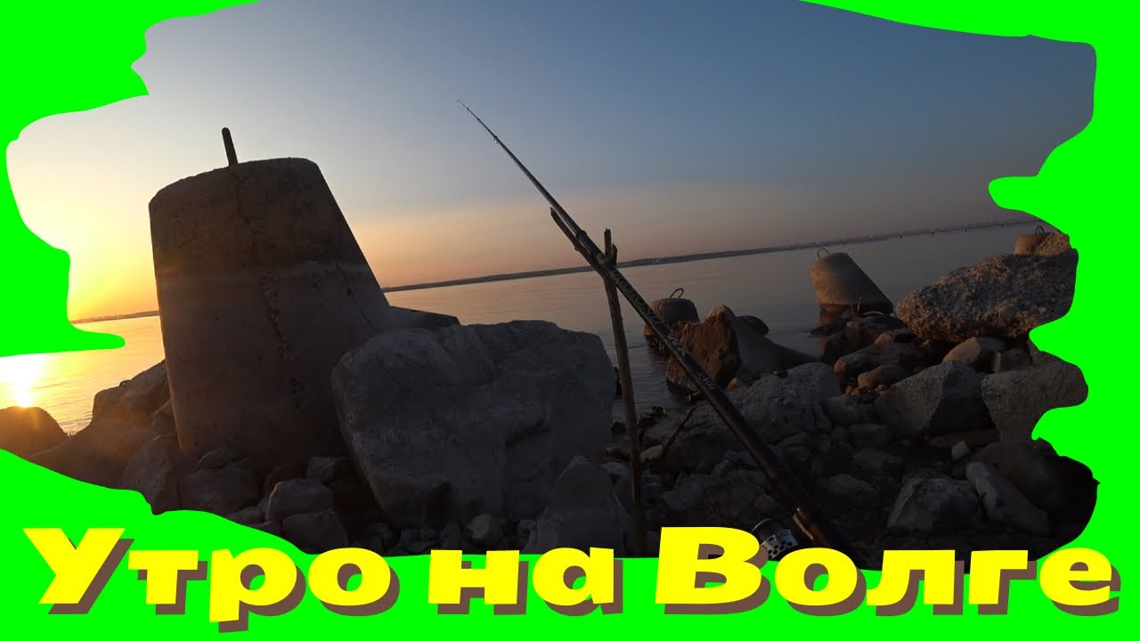 Чехонь на волге