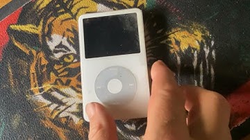 19 My white 5th Gen iPod with FP London / FP Paris base skins and Around the Lake Rockbox theme.