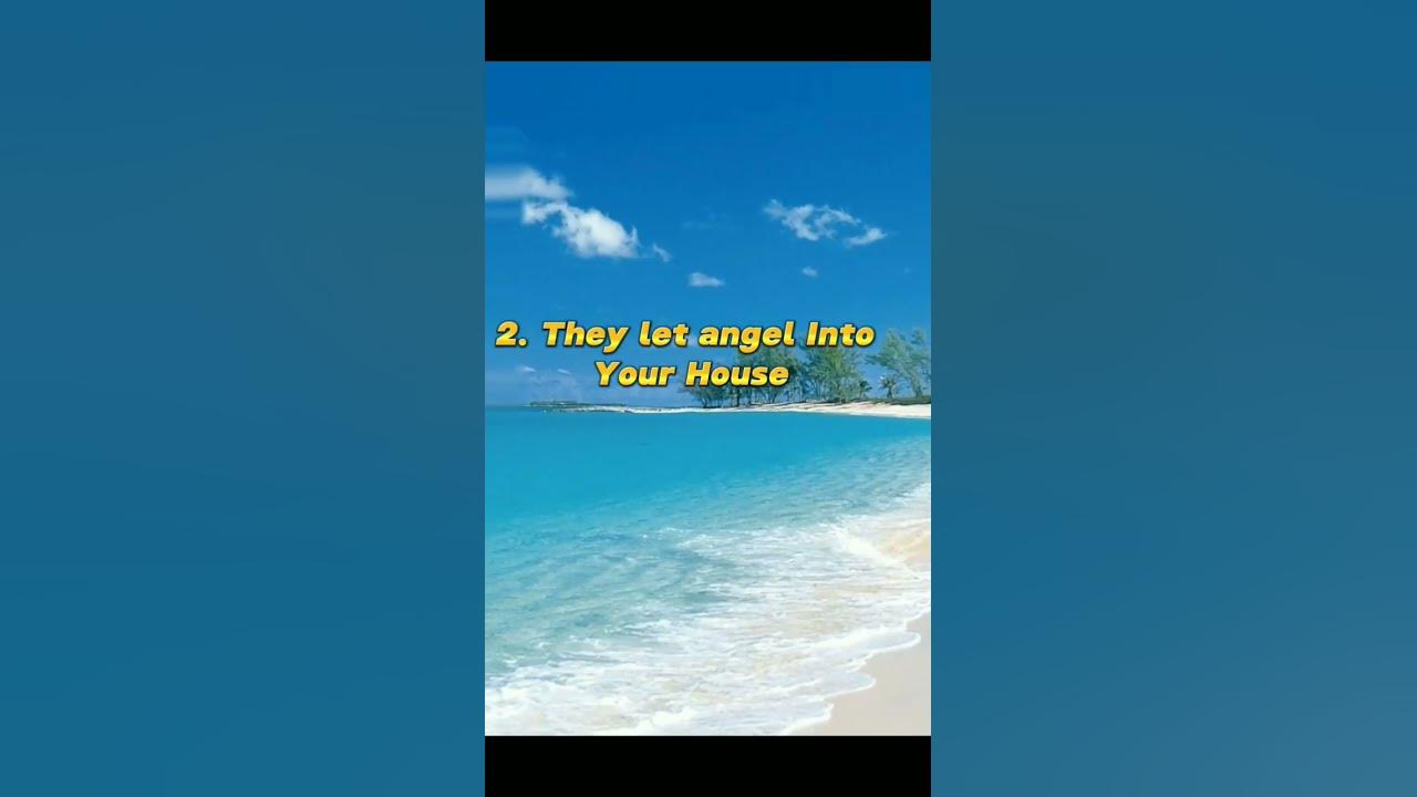 beneeits-of-having-cat-in-islam-islamicvideo-shortsfeed-islamic