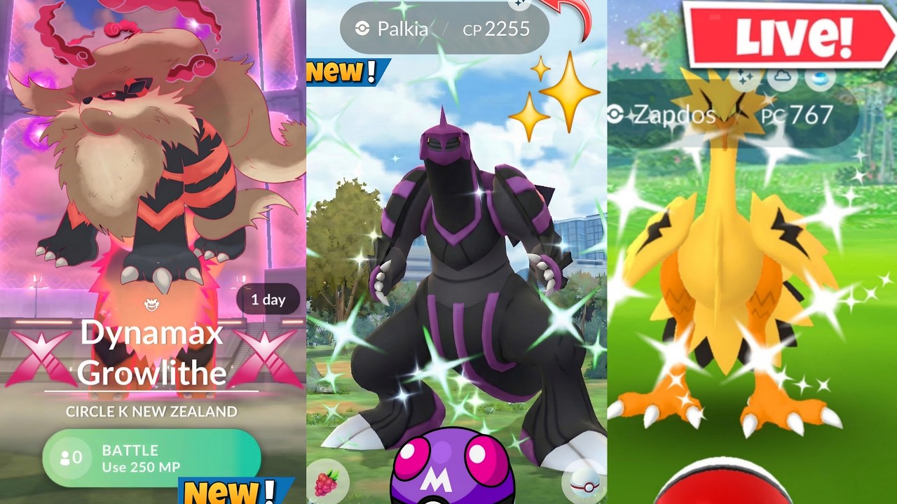 Hunting✨️Shiny Dynamax Arcanine & Galar Birds On Raid in Pokemon Go