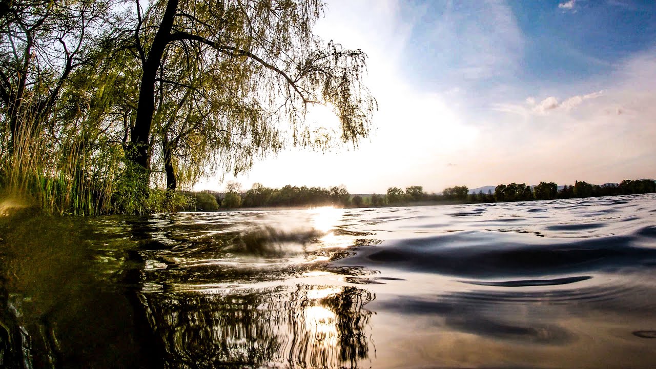 A nyugalom tava - Nőtincs