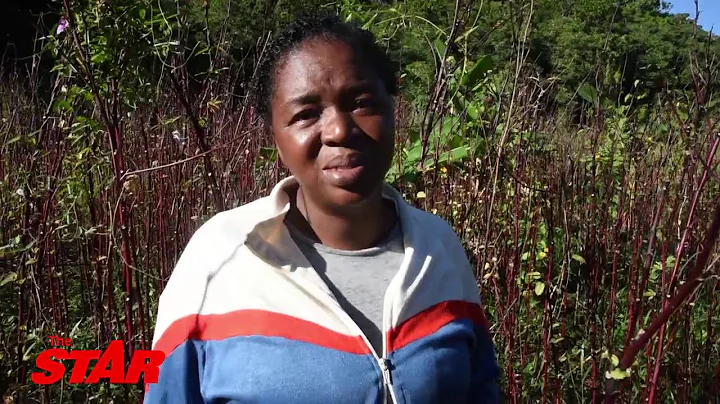 Sorrel farmer cant even find a pound on her farm