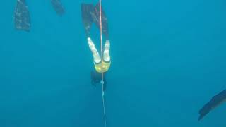 自由潜水训练视频解析：Freedive - Line Training