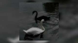 Download Lagu Billie Ellish - everything i wanted (slowed + reverb) MP3