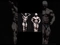 📹 LEE PRIEST: EL FÍSICO ES BRUTAL 🔥 →👤 #GymShorts