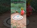 The strange secret of catching parrots #comedy #funny #birds