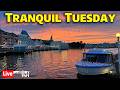 🔴Live: Tranquil Tuesday - Epcot Resorts & Skyliner - 5-19-26 - Walt Disney World Live Stream