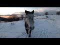 The beautiful ponikva  in eastern macedonia and the beautiful winter atmosphere