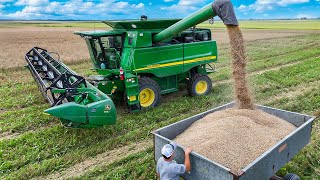 Download Lagu First Time Harvesting Wheat (Custom Combining Job) MP3 Download Lagu First Time Harvesting Wheat (Custom Combining Job) MP3