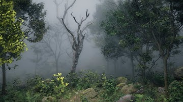 Screen Space Fog Scattering - Showcase Trailer