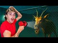 I Bought the Scariest African Animal Off the Web…