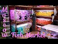 Moscow Aquarium Fish Market