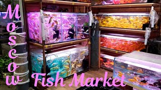 Moscow Aquarium Fish Market