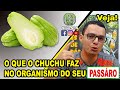 Chuchu - O que Essa Fruta Pode Fazer no Organismo de Seu Pássaro