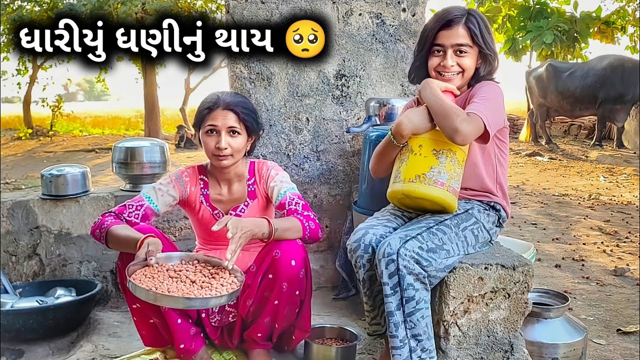 આપણું કઈ નો હાલે 🥺 ધારીયું ધણીનું થાય || R Gujju Vlog || 