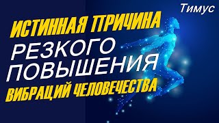 Истинная причина резкого повышения вибраций Человечества - Тимус