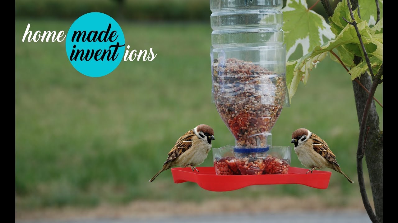 How To Make A Bird Feeder Homemade Inventions Youtube