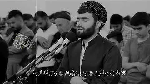 ما تيسر من سورة القيامة للشيخ بيشةوا قادر الكردي🌼🌺🌸
