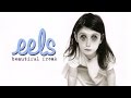 Eels - Toazted Interview 2003 (part 2 of 3)