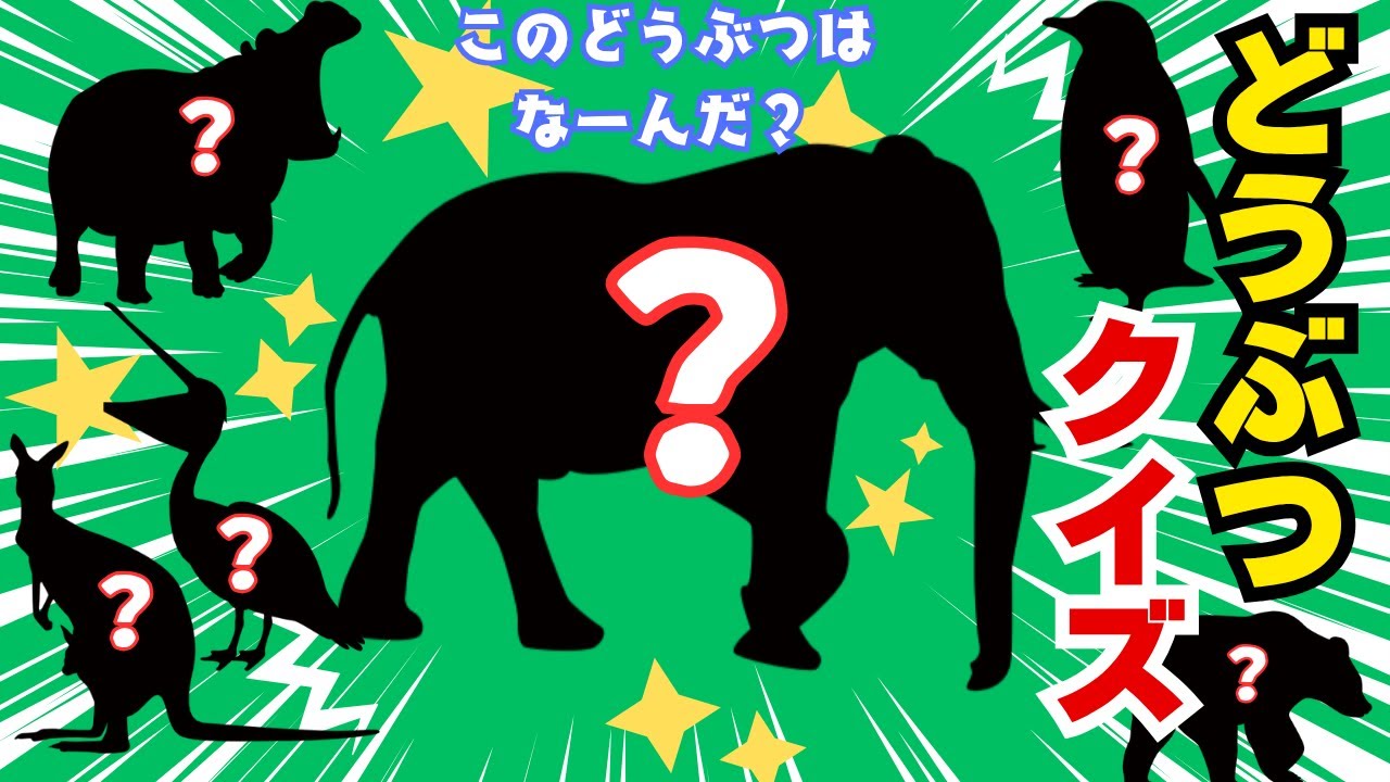 【どうぶつクイズ】このどうぶつはなーんだ？　動く動物大集合　どうぶつシルエット どうぶつの影を見て当てよう！　動物園　動物博士【こども知育】